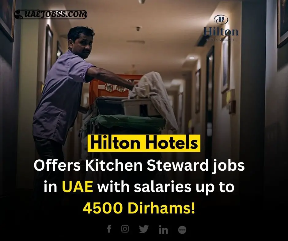Kitchen Steward Jobs in Fujairah UAE at Hilton 2024